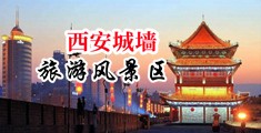 日本妓女被黑人巨屌肏的悲伤在线视频观看中国陕西-西安城墙旅游风景区